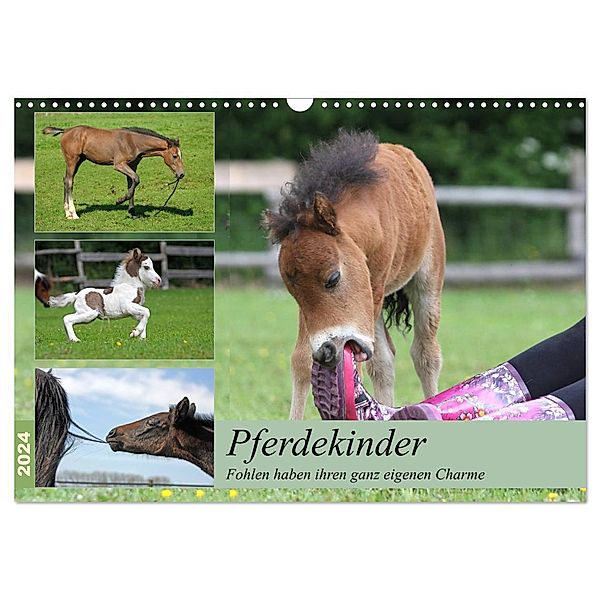 Pferdekinder - Fohlen haben ihren ganz eigenen Charme (Wandkalender 2024 DIN A3 quer), CALVENDO Monatskalender, Barbara Mielewczyk