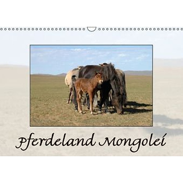 Pferdeland Mongolei (Wandkalender 2016 DIN A3 quer), A. J. Beuck