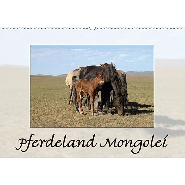 Pferdeland Mongolei (Wandkalender 2017 DIN A2 quer), AJ Beuck, A. J. Beuck