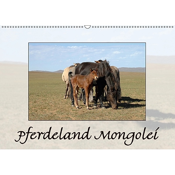 Pferdeland Mongolei (Wandkalender 2018 DIN A2 quer), A. J. Beuck