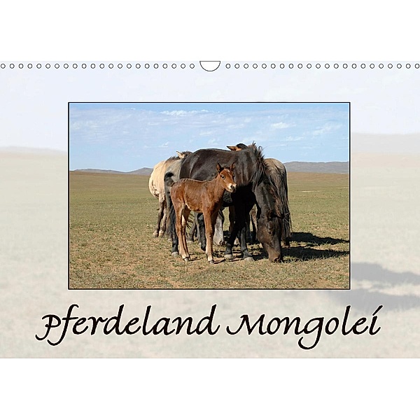 Pferdeland Mongolei (Wandkalender 2020 DIN A3 quer), AJ Beuck