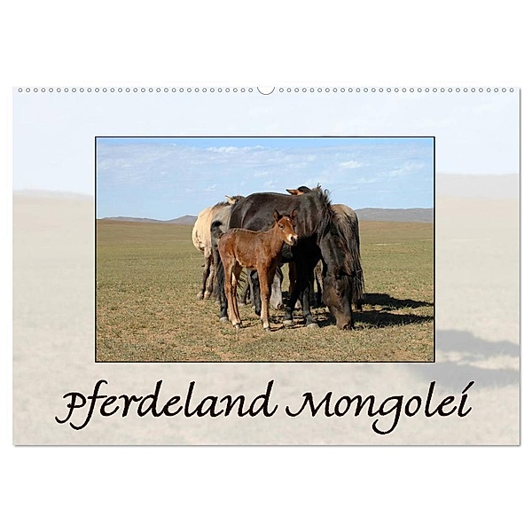 Pferdeland Mongolei (Wandkalender 2024 DIN A2 quer), CALVENDO Monatskalender, AJ Beuck