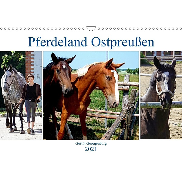 Pferdeland Ostpreußen - Gestüt Georgenburg (Wandkalender 2021 DIN A3 quer), Henning von Löwis of Menar, Henning von Löwis of Menar