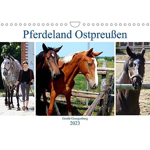 Pferdeland Ostpreußen - Gestüt Georgenburg (Wandkalender 2023 DIN A4 quer), Henning von Löwis of Menar, Henning von Löwis of Menar
