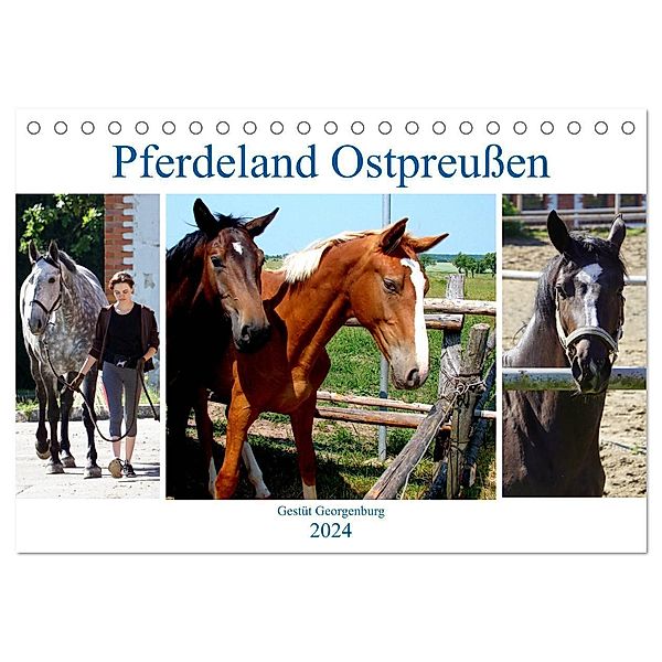Pferdeland Ostpreußen - Gestüt Georgenburg (Tischkalender 2024 DIN A5 quer), CALVENDO Monatskalender, Henning von Löwis of Menar