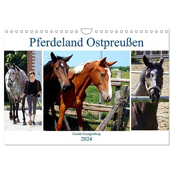 Pferdeland Ostpreussen - Gestüt Georgenburg (Wandkalender 2024 DIN A4 quer), CALVENDO Monatskalender, Henning von Löwis of Menar