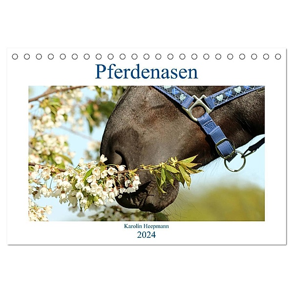 Pferdenasen (Tischkalender 2024 DIN A5 quer), CALVENDO Monatskalender, Karolin Heepmann - www.Karo-Fotos.de