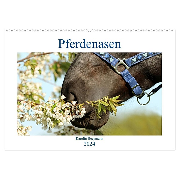 Pferdenasen (Wandkalender 2024 DIN A2 quer), CALVENDO Monatskalender, Karolin Heepmann - www.Karo-Fotos.de
