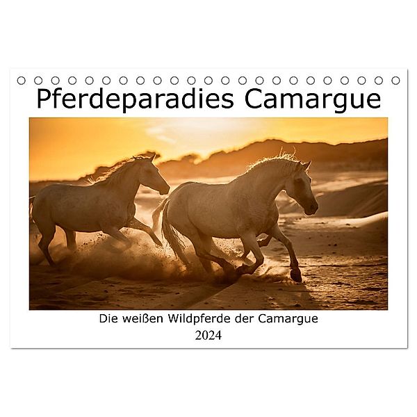Pferdeparadies Camargue (Tischkalender 2024 DIN A5 quer), CALVENDO Monatskalender, Nicola Kassat