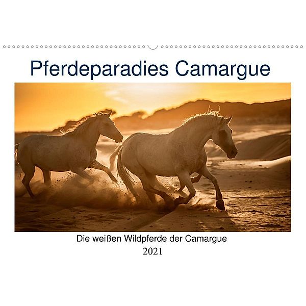 Pferdeparadies Camargue (Wandkalender 2021 DIN A2 quer), Nicola Kassat