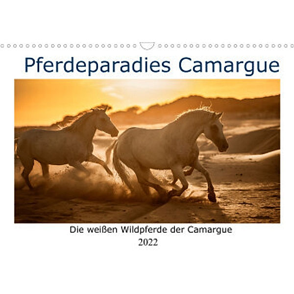 Pferdeparadies Camargue (Wandkalender 2022 DIN A3 quer), Nicola Kassat