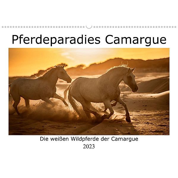 Pferdeparadies Camargue (Wandkalender 2023 DIN A2 quer), Nicola Kassat