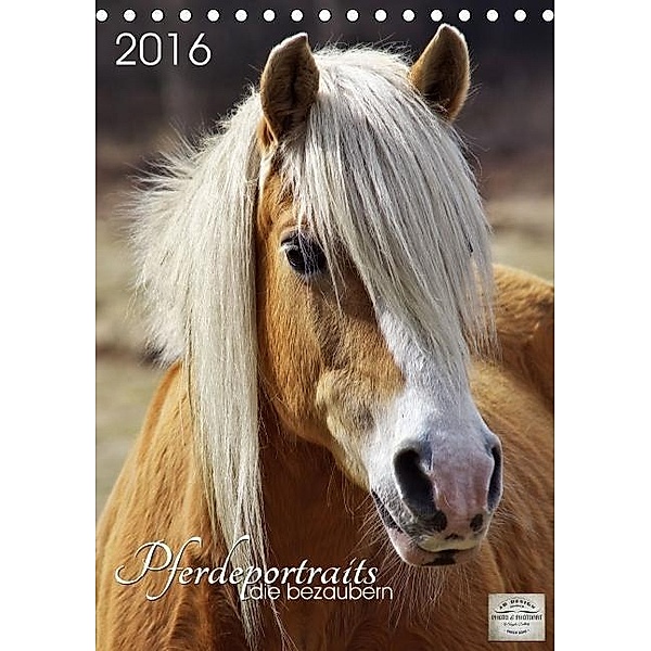 Pferdeportraits die bezaubern (Tischkalender 2016 DIN A5 hoch), Angela Dölling