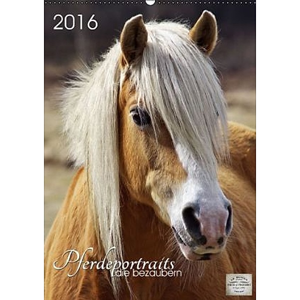 Pferdeportraits die bezaubern (Wandkalender 2016 DIN A2 hoch), Angela Dölling