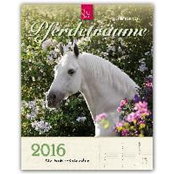 Pferdeträume 2016