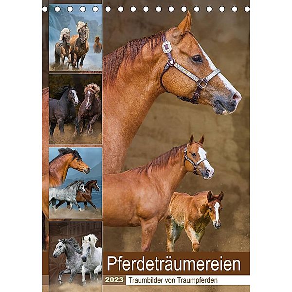 Pferdeträumereien - Traumbilder von Traumpferden (Tischkalender 2023 DIN A5 hoch), Sigrid Starick