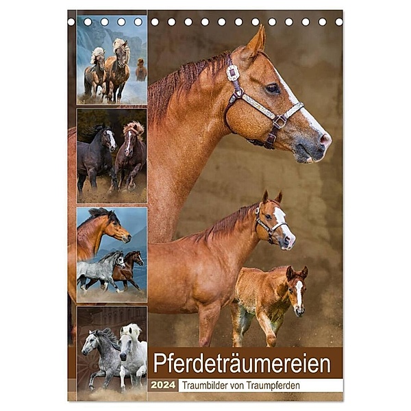 Pferdeträumereien - Traumbilder von Traumpferden (Tischkalender 2024 DIN A5 hoch), CALVENDO Monatskalender, Sigrid Starick