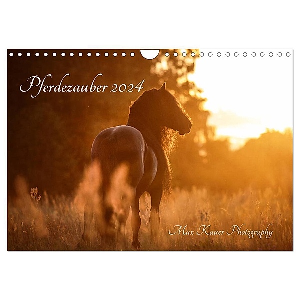 Pferdezauber 2024 (Wandkalender 2024 DIN A4 quer), CALVENDO Monatskalender, Max Kauer Photography
