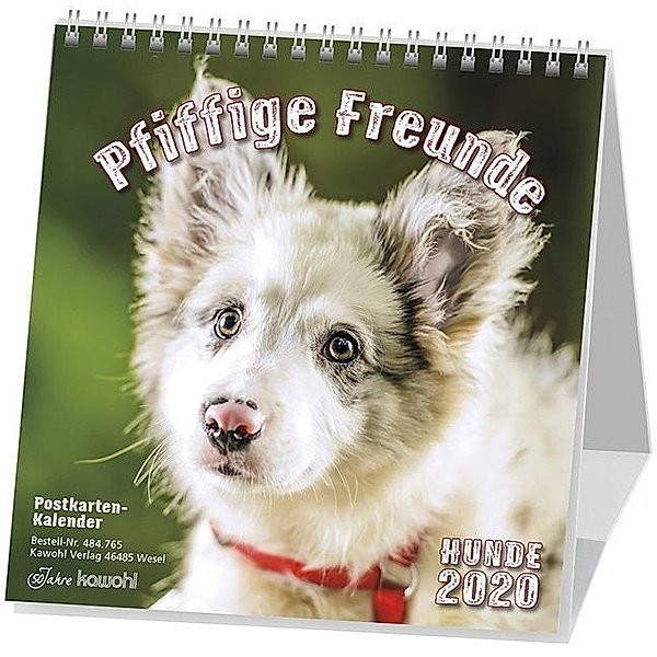 Pfiffige Freunde - Hunde 2021