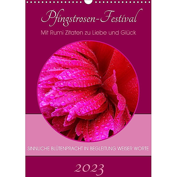 Pfingstrosen-Festival (Wandkalender 2023 DIN A3 hoch), Doris Benkwitz