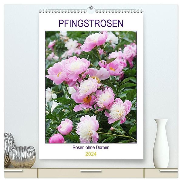 Pfingstrosen Rosen ohne Dornen (hochwertiger Premium Wandkalender 2024 DIN A2 hoch), Kunstdruck in Hochglanz, Gisela Kruse