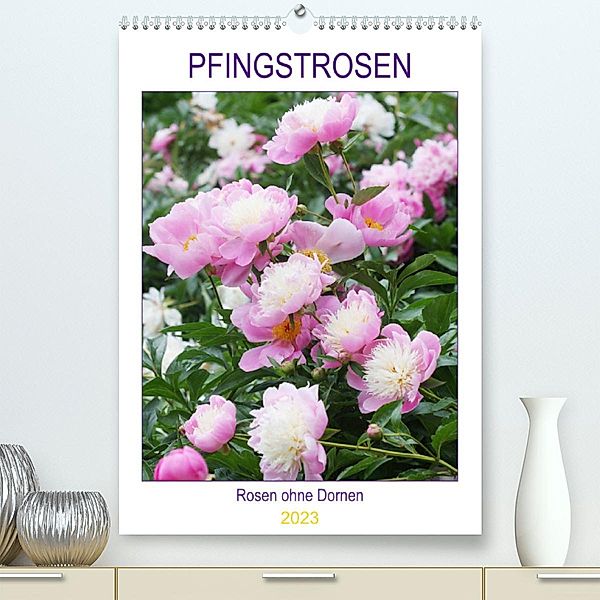 Pfingstrosen Rosen ohne Dornen (Premium, hochwertiger DIN A2 Wandkalender 2023, Kunstdruck in Hochglanz), Gisela Kruse