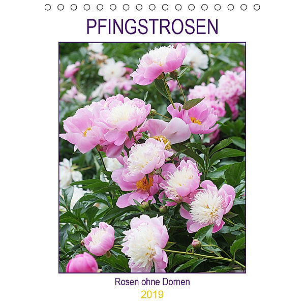Pfingstrosen Rosen ohne Dornen (Tischkalender 2019 DIN A5 hoch), Gisela Kruse