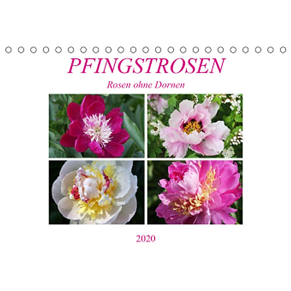 PFINGSTROSEN Rosen ohne Dornen (Tischkalender 2020 DIN A5 quer), Gisela Kruse