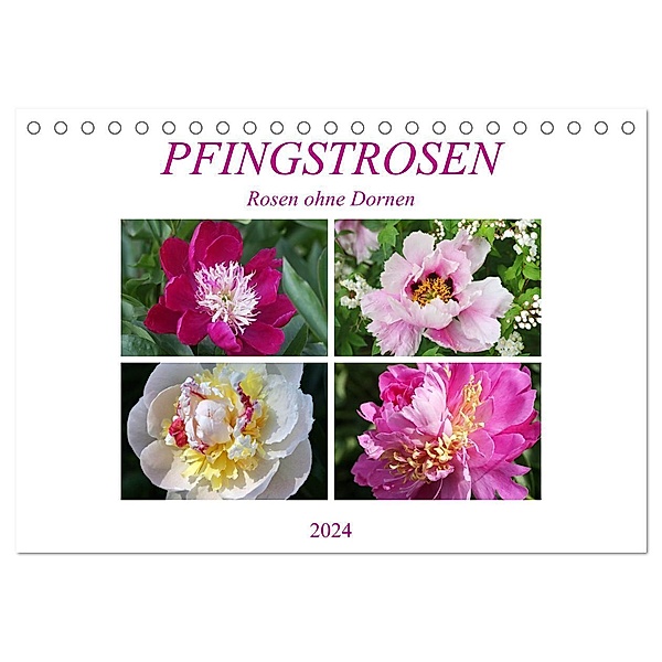 PFINGSTROSEN Rosen ohne Dornen (Tischkalender 2024 DIN A5 quer), CALVENDO Monatskalender, Gisela Kruse
