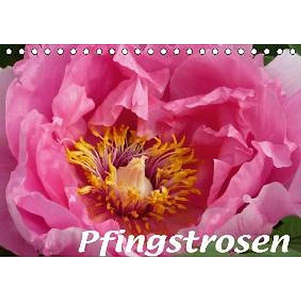 Pfingstrosen (Tischkalender 2016 DIN A5 quer), Brigitte Niemela