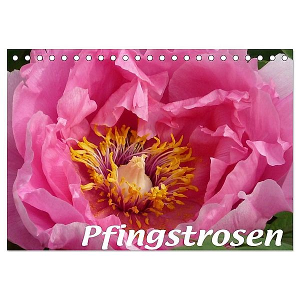 Pfingstrosen (Tischkalender 2024 DIN A5 quer), CALVENDO Monatskalender, Brigitte Niemela