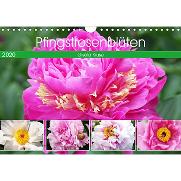 Pfingstrosenblüten (Wandkalender 2020 DIN A4 quer), Gisela Kruse