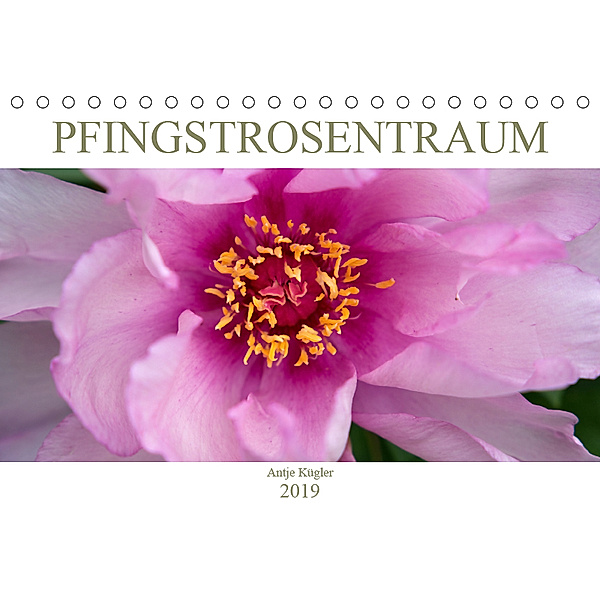 Pfingstrosentraum (Tischkalender 2019 DIN A5 quer), Antje Kügler