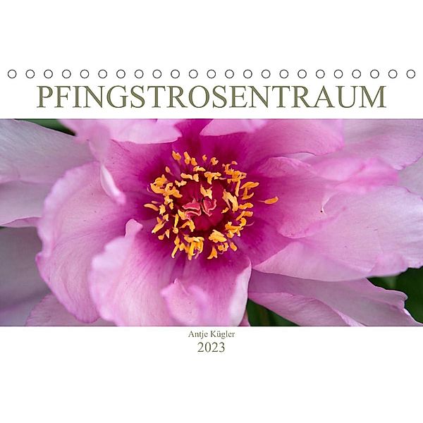 Pfingstrosentraum (Tischkalender 2023 DIN A5 quer), Antje Kügler