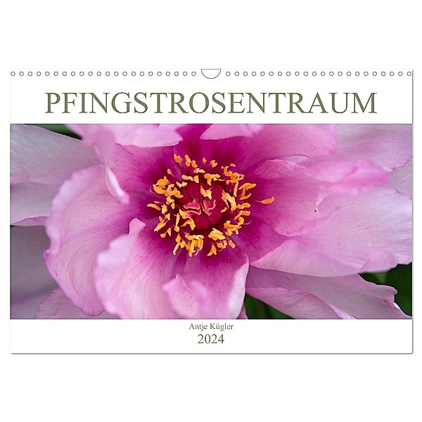 Pfingstrosentraum (Wandkalender 2024 DIN A3 quer), CALVENDO Monatskalender, Antje Kügler
