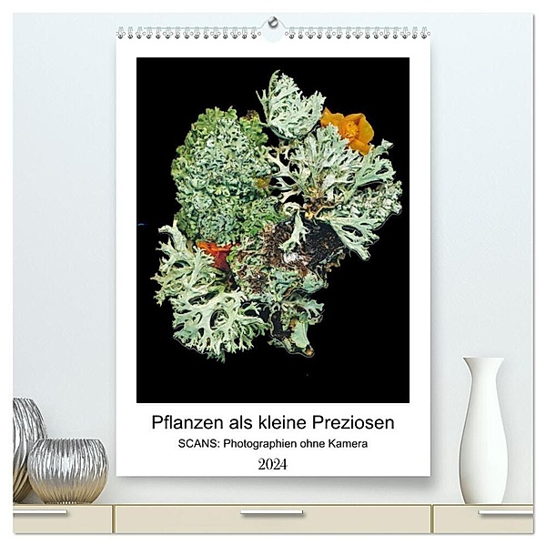 Pflanzen als kleine Preziosen (hochwertiger Premium Wandkalender 2024 DIN A2 hoch), Kunstdruck in Hochglanz, Tamara Wahby