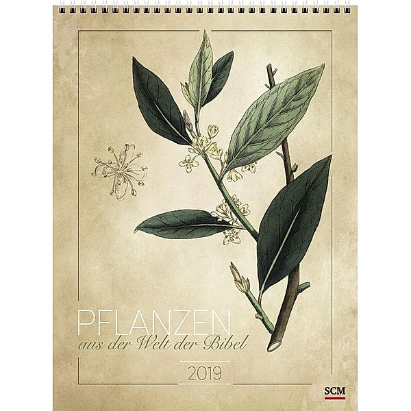 Pflanzen aus der Welt der Bibel 2019