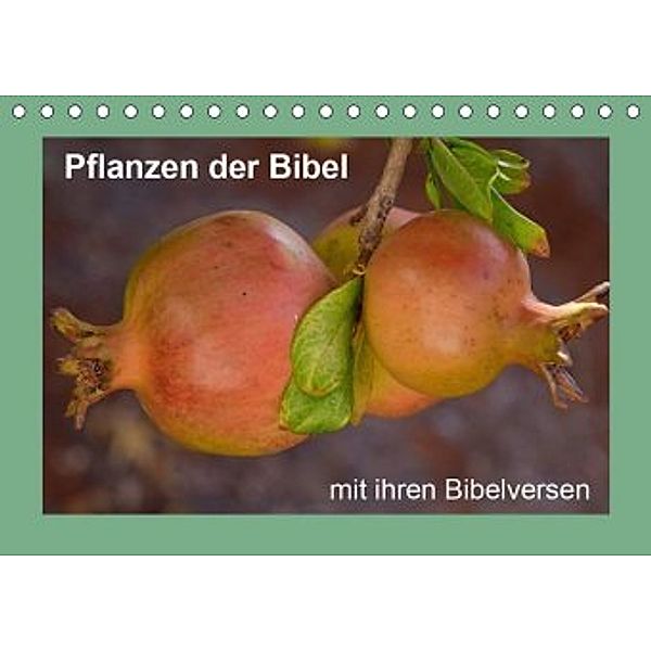 Pflanzen der Bibel (Tischkalender 2020 DIN A5 quer), Hans-Georg Vorndran