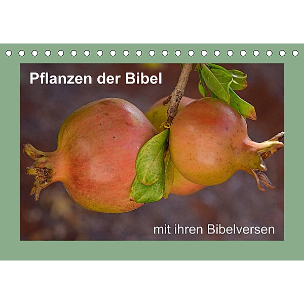 Pflanzen der Bibel (Tischkalender 2023 DIN A5 quer), Hans-Georg Vorndran