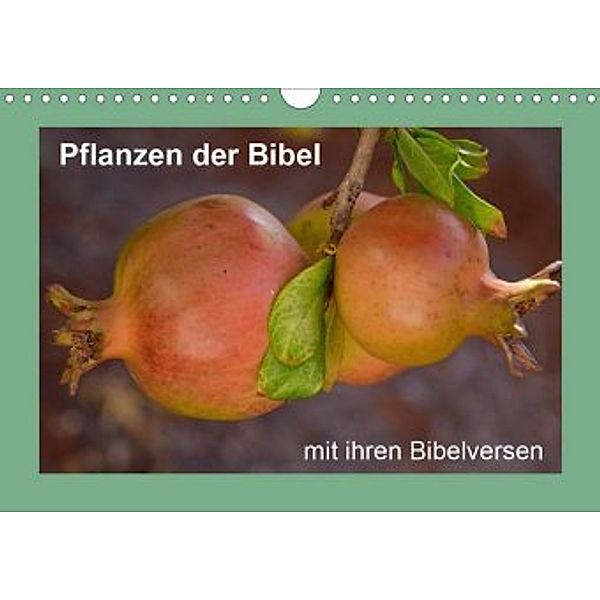 Pflanzen der Bibel (Wandkalender 2020 DIN A4 quer), Hans-Georg Vorndran