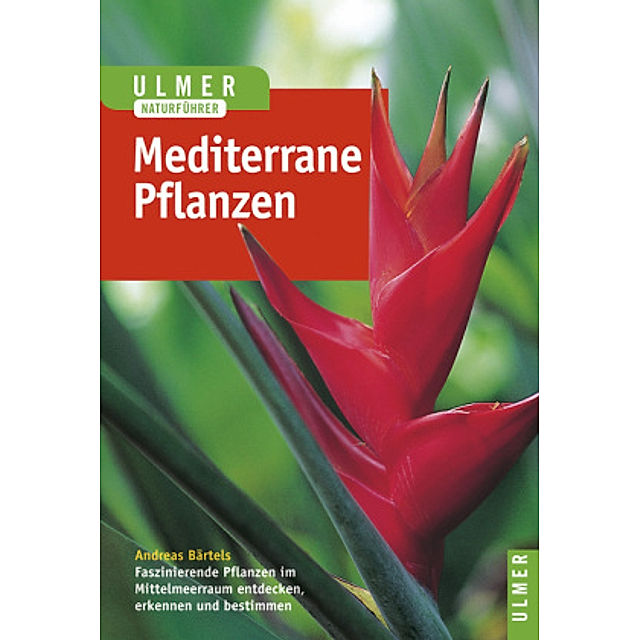 Pflanzen des Mittelmeerraumes Buch versandkostenfrei bei Weltbild.de