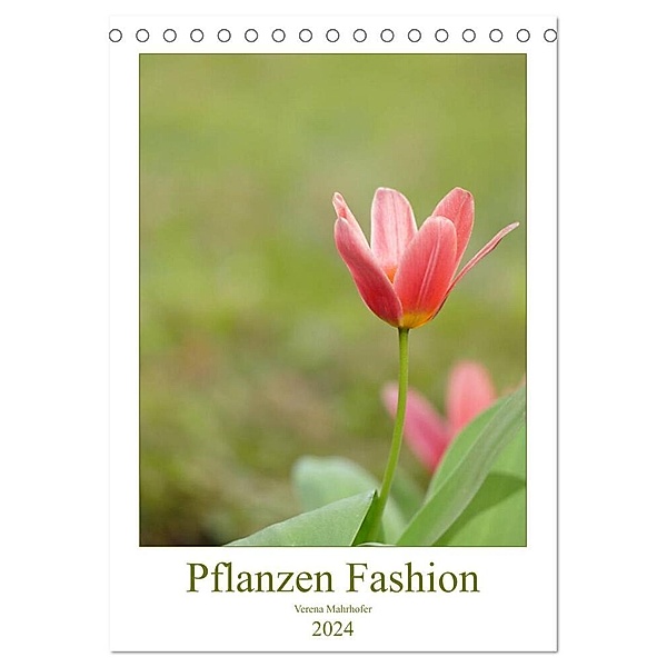 Pflanzen Fashion (Tischkalender 2024 DIN A5 hoch), CALVENDO Monatskalender, Verena Mahrhofer