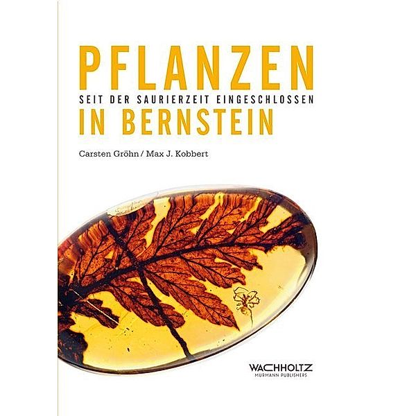Pflanzen im Bernstein, Carsten Gröhn, Max J. Kobbert