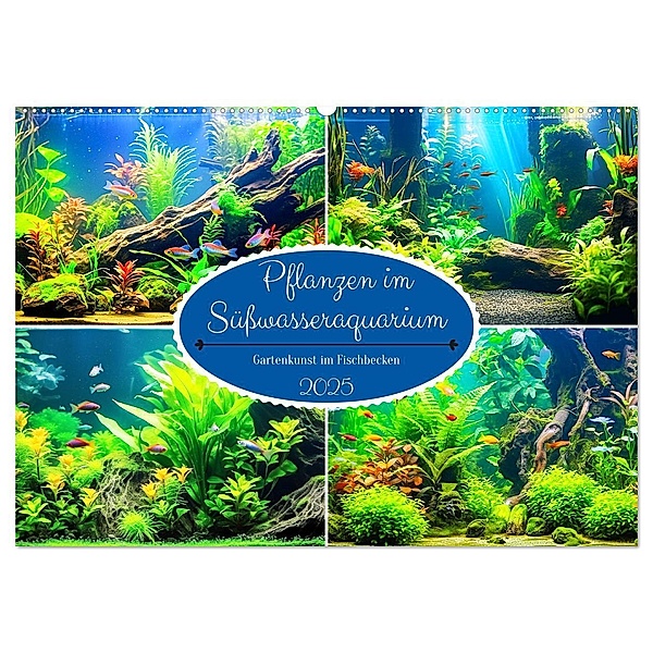 Pflanzen im Süßwasseraquarium. Gartenkunst im Fischbecken (Wandkalender 2025 DIN A2 quer), CALVENDO Monatskalender, Calvendo, Rose Hurley