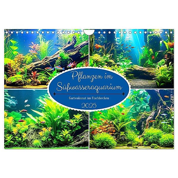 Pflanzen im Süsswasseraquarium. Gartenkunst im Fischbecken (Wandkalender 2025 DIN A4 quer), CALVENDO Monatskalender, Calvendo, Rose Hurley