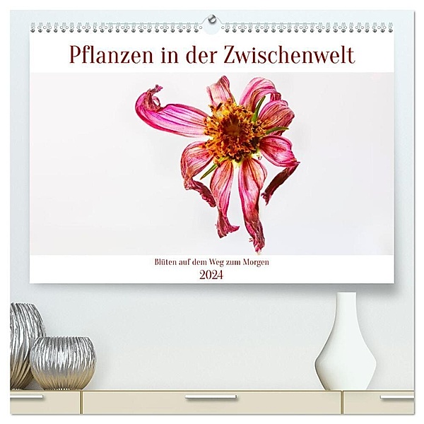 Pflanzen in der Zwischenwelt (hochwertiger Premium Wandkalender 2024 DIN A2 quer), Kunstdruck in Hochglanz, Clemens Stenner