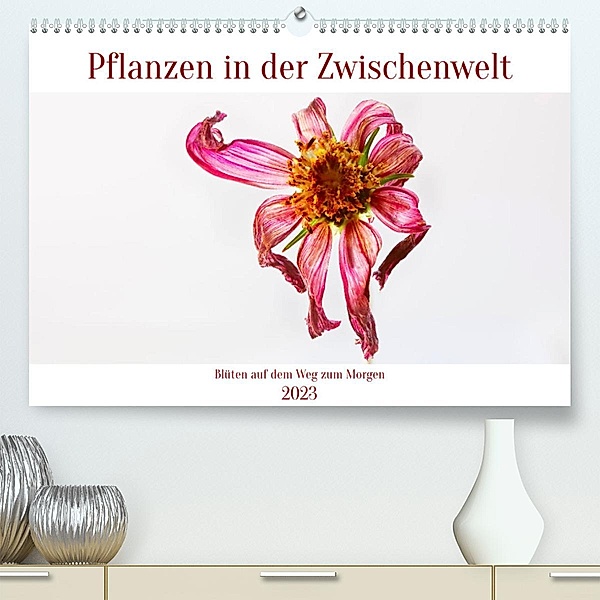 Pflanzen in der Zwischenwelt (Premium, hochwertiger DIN A2 Wandkalender 2023, Kunstdruck in Hochglanz), Clemens Stenner