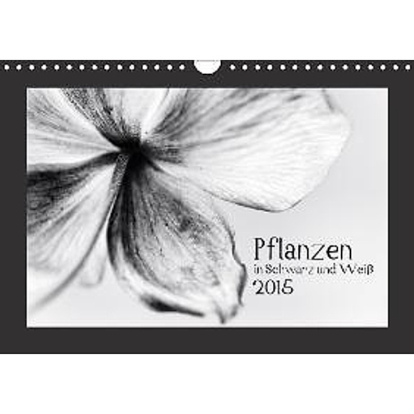 Pflanzen in Schwarz und Weiß / AT-Version (Wandkalender 2015 DIN A4 quer), Kirsten Karius