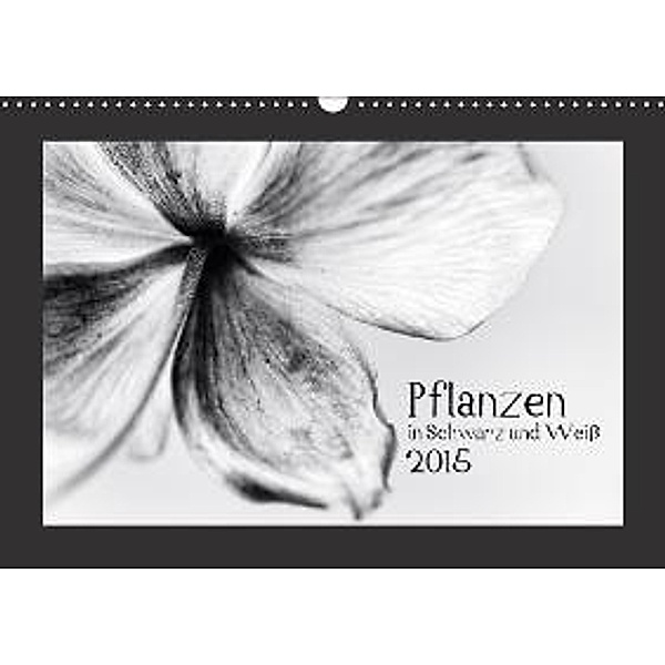 Pflanzen in Schwarz und Weiß / AT-Version (Wandkalender 2015 DIN A3 quer), Kirsten Karius