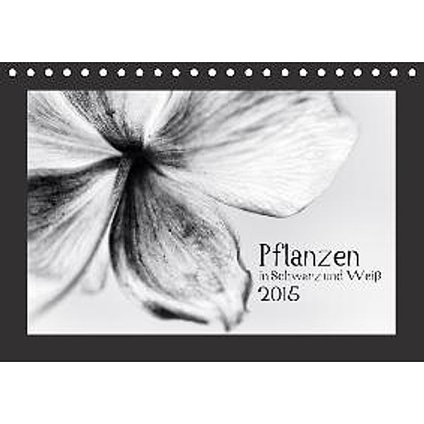 Pflanzen in Schwarz und Weiß / AT-Version (Tischkalender 2015 DIN A5 quer), Kirsten Karius